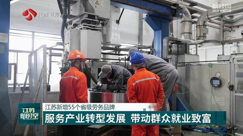 江蘇省培育55個(gè)省級(jí)勞務(wù)品牌，以專業(yè)化服務(wù)賦能產(chǎn)業(yè)轉(zhuǎn)型與群眾增收
